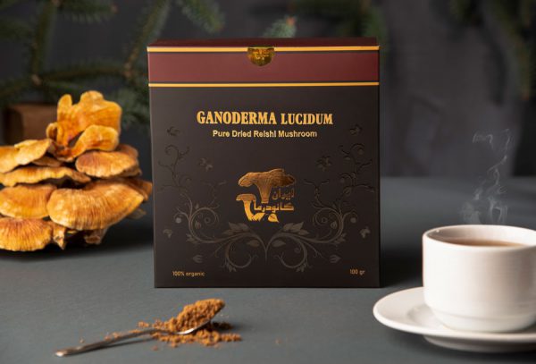 قارچ گانودرما
