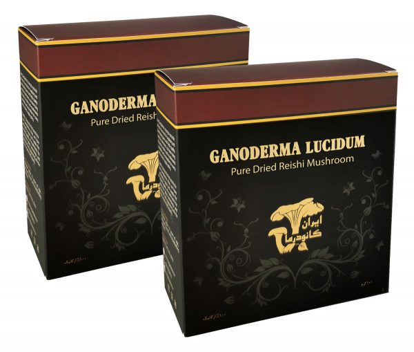 قارچ گانودرما