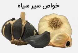سیر سیاه